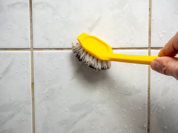Best Certified Mold Removal  in Hardeeville, SC
